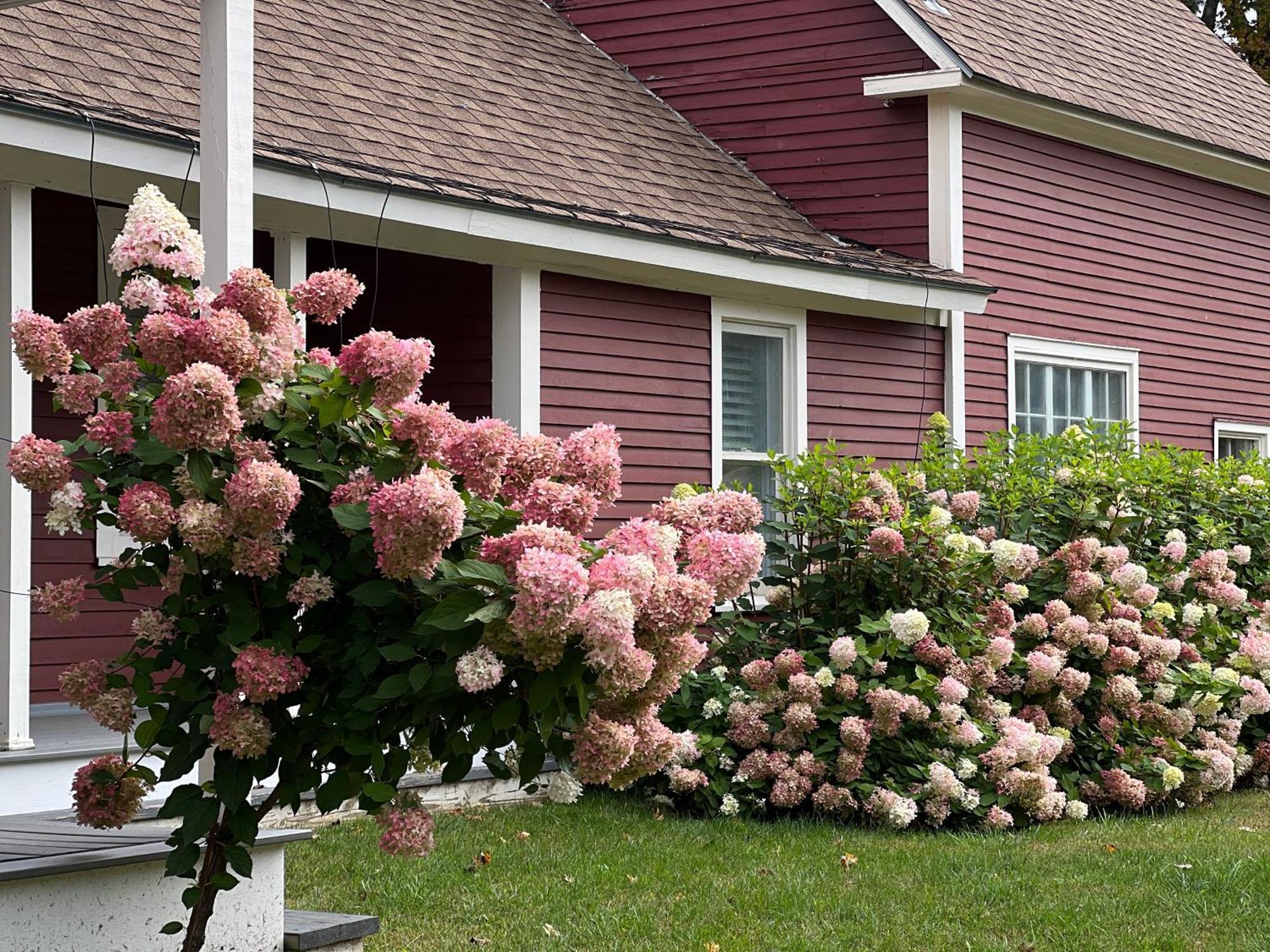 The Nutmeg Vermont Wilmington Exterior photo